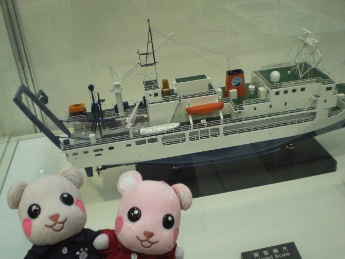 船の模型.JPG